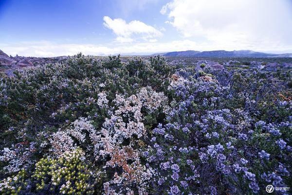 周长50长和宽2：3，菜地面积游戏画面