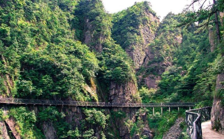 山西白求恩医院拟成立山西省肠道微生态诊疗中心