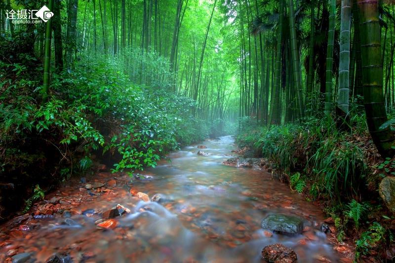 掘地挖宝