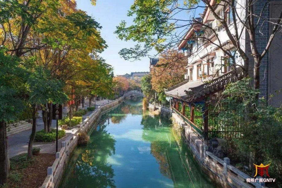 动物帮帮忙保卫家园